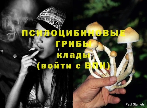бутират Алзамай