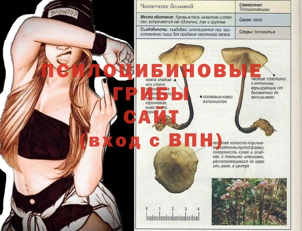 бутират Алзамай