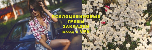 PSILOCYBIN Алексин