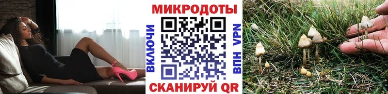 купить наркотик  Кашин  Псилоцибиновые грибы прущие грибы 
